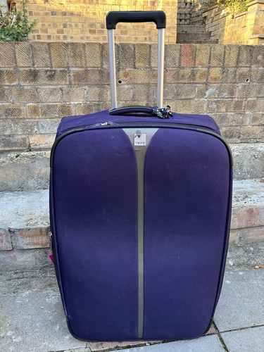 Plum medium sized - medium,